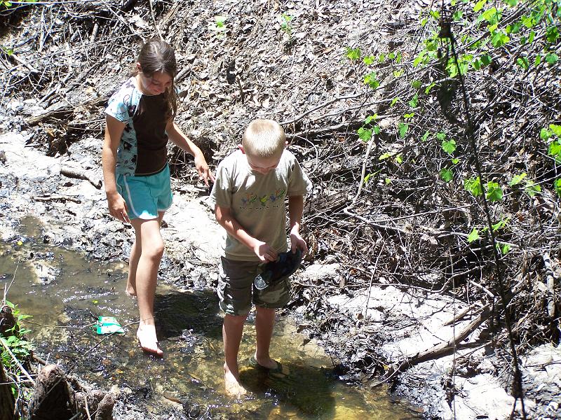 100_6866.JPG - More creek exploring.