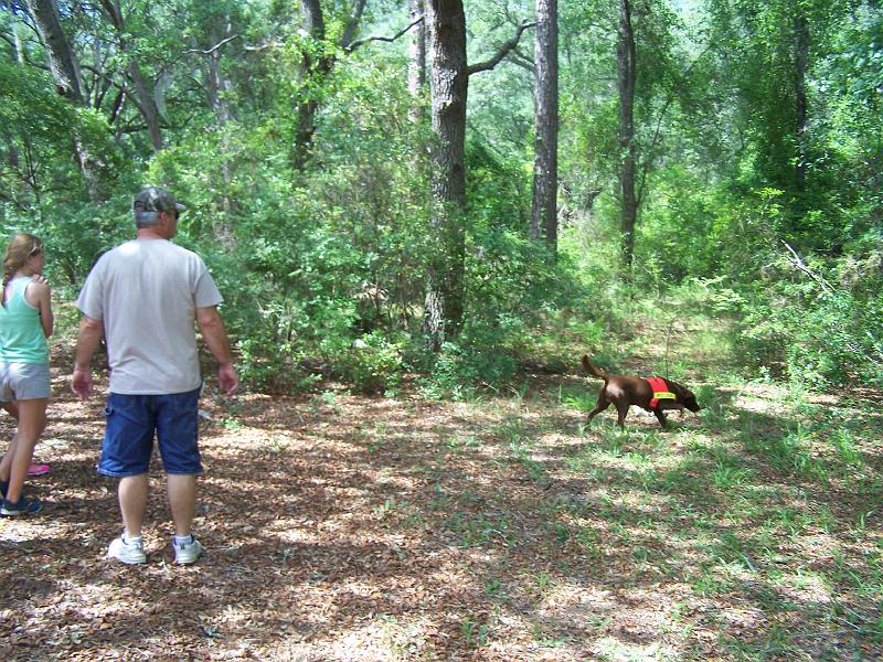 100_6921.JPG - He keeps sniffing the ground.