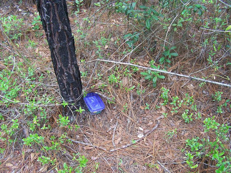 100_6940.JPG - Temporary geocaches where placed in the park.