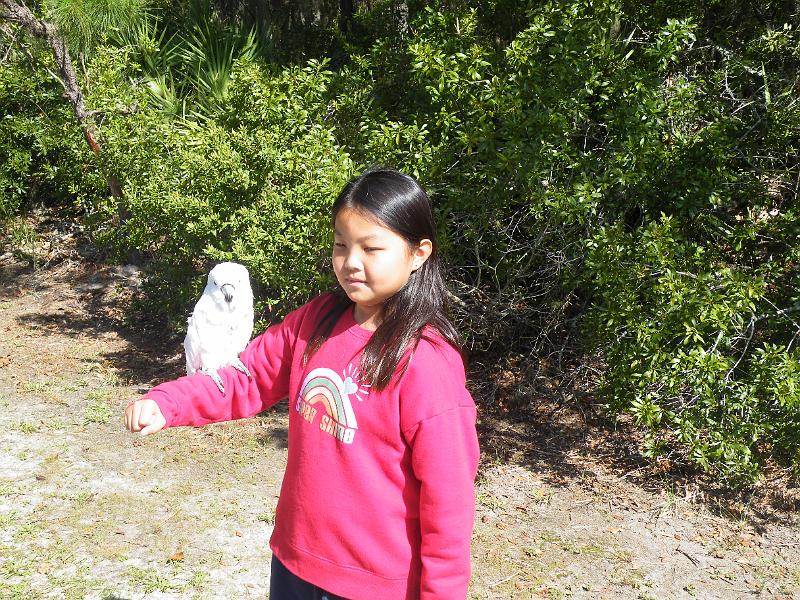 71-Sarah&Bird.JPG - The macaw perches on Sarah's arm.