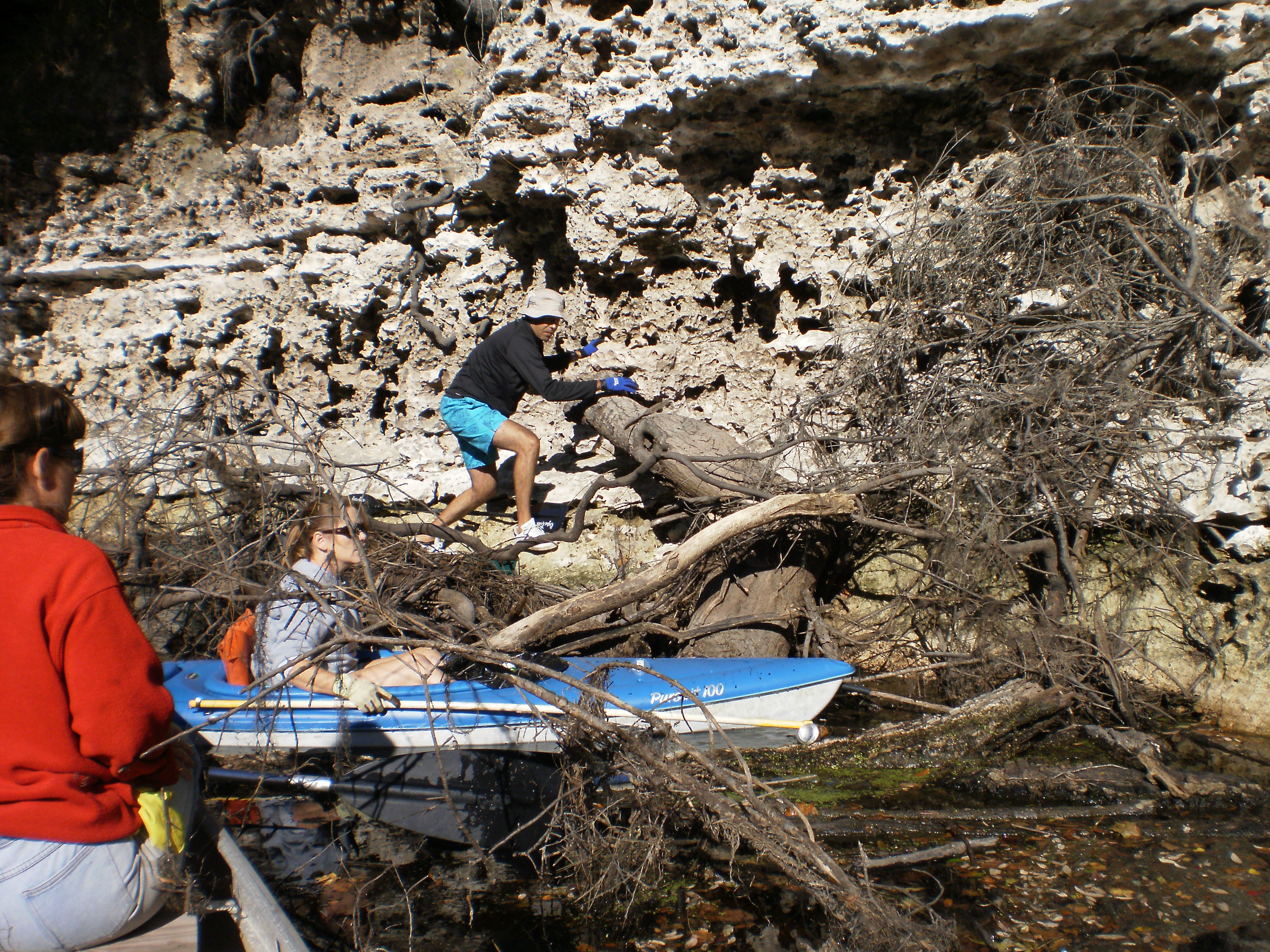 Climbing the Shore