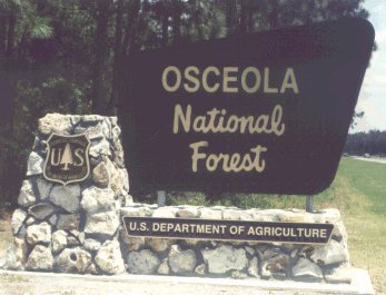 Link to Osceola National Forest