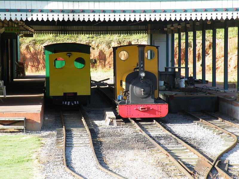 DSCF2952.JPG - There are both diesel and steam trains here.